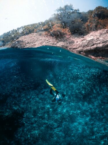 Toto-Travel-Private-Boat-Trip-Blue-Cave-Hvar-5-Islands-Private-Boat-Trip-35